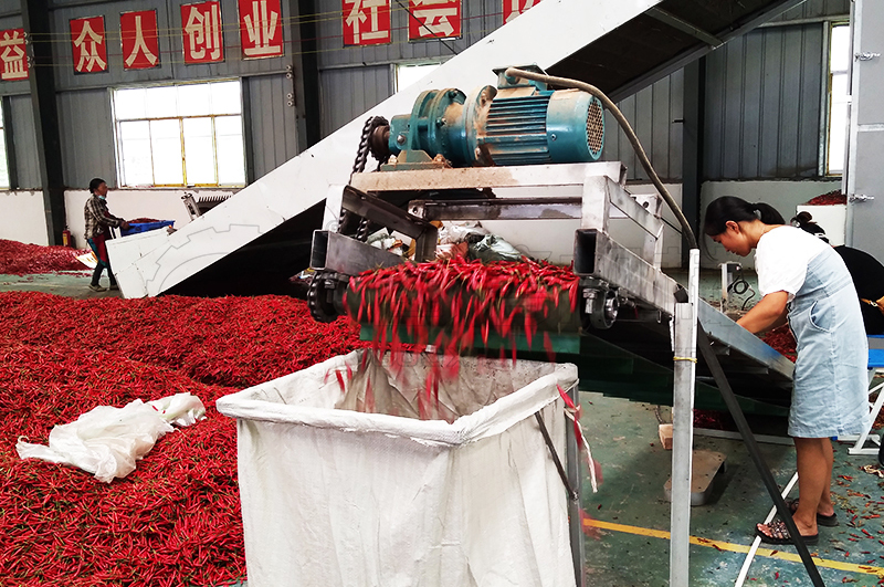 網帶式辣椒烘干機用戶現場