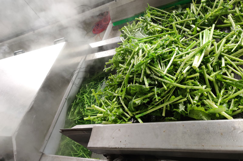 不銹鋼制作的漂燙蒸煮機，四周雙層保溫